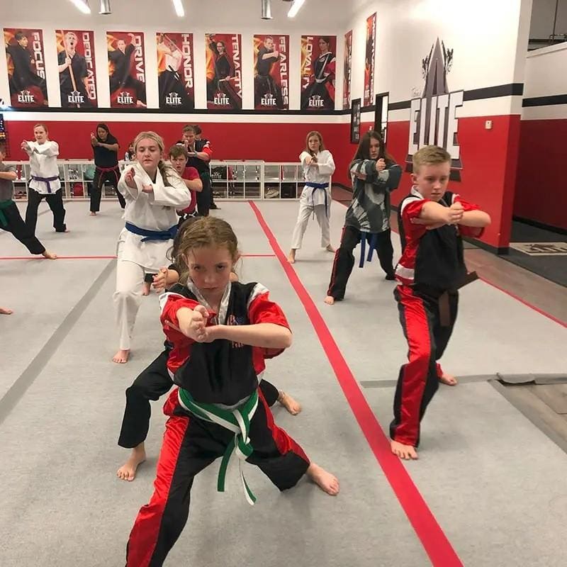 students practicing moves for martial arts classes