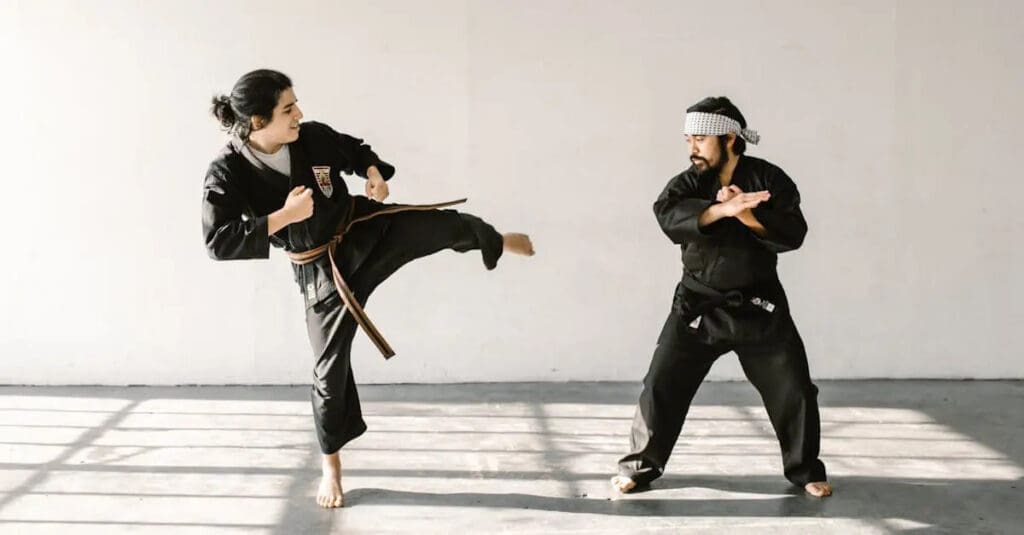 Martial artists demonstrating different martial arts styles during partner drills